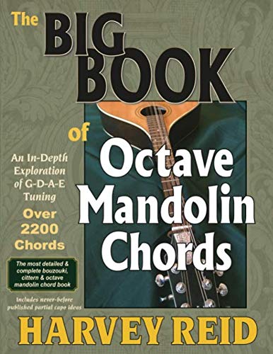 Beispielbild fr The BIG BOOK of Octave Mandolin Chords: An In-Depth Exploration of G-D-A-E Tuning zum Verkauf von Omega