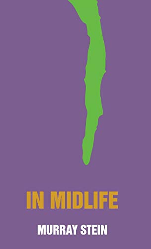 9781630510909: In Midlife: A Jungian Perspective