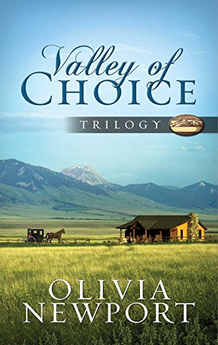 Beispielbild fr Valley of Choice Trilogy: One Modern Woman's Complicated Journey into the Simple Life Told in Three Novels zum Verkauf von Wonder Book