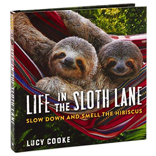 Stock image for Life in the Sloth Lane: Slow Down and Smell the Hibiscus for sale by Your Online Bookstore