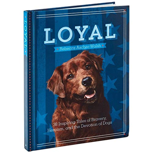 Beispielbild fr Loyal: 38 Inspiring Tales of Bravery, Heroism, and the Devotion of Dogs zum Verkauf von HPB-Diamond