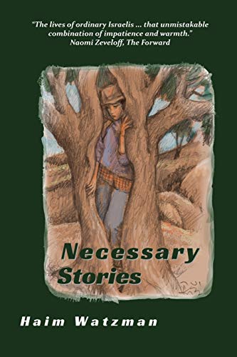 Beispielbild fr Necessary Stories zum Verkauf von GF Books, Inc.