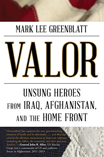Beispielbild fr Valor: Unsung Heroes from Iraq, Afghanistan, and the Home Front zum Verkauf von Buchpark