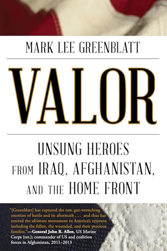 9781630761448: Valor: Unsung Heroes from Iraq, Afghanistan, and the Home Front