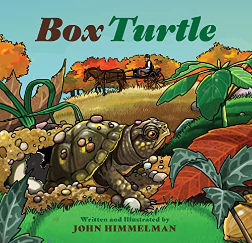 Stock image for Box Turtle (Hardcover) for sale by AussieBookSeller