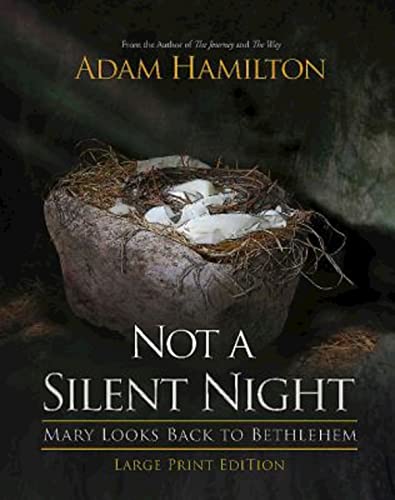 Stock image for Not a Silent Night: Mary Looks Back to Bethlehem (Not a Silent Night Advent) for sale by Read&Dream