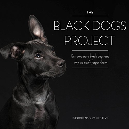 Beispielbild fr The Black Dogs Project: Extraordinary Black Dogs and Why We Can't Forget Them zum Verkauf von Wonder Book