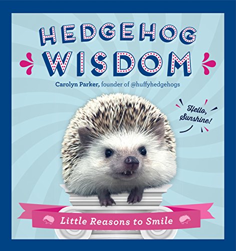 Beispielbild fr Hedgehog Wisdom: Little Reasons to Smile zum Verkauf von SecondSale