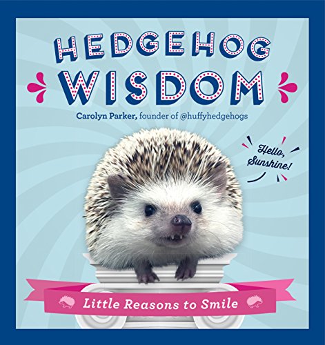9781631063800: Hedgehog Wisdom: Little Reasons to Smile