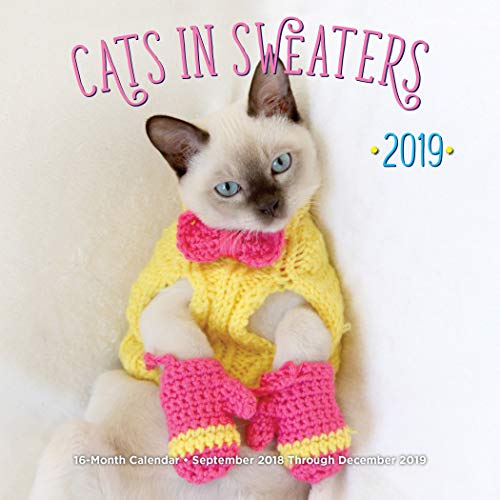 Imagen de archivo de Cats In Sweaters Mini 2019: 16-Month Calendar - September 2018 through December 2019 a la venta por Emerald Green Media