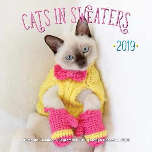 Stock image for Cats In Sweaters Mini 2019: 16-Month Calendar - September 2018 through December 2019 for sale by Emerald Green Media