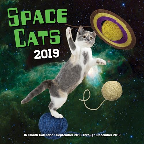 Imagen de archivo de Space Cats 2019: 16-Month Calendar - September 2018 through December 2019 a la venta por Big River Books