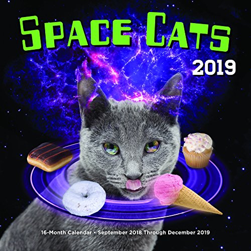 Stock image for Space Cats 2019: 16-Month Calendar - September 2018 through December 2019 for sale by Big River Books