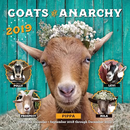 Beispielbild fr Goats of Anarchy 2019: 16-Month Calendar - September 2018 through December 2019 zum Verkauf von Ebooksweb