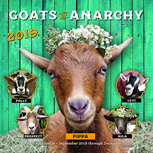 Stock image for Goats of Anarchy 2019: 16-Month Calendar - September 2018 through December 2019 for sale by Ebooksweb