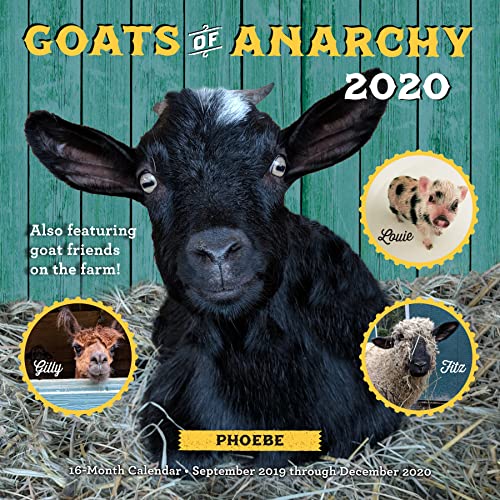 9781631066115: Goats of Anarchy 2020: 16 Month Calendar September 2019 Through December 2020
