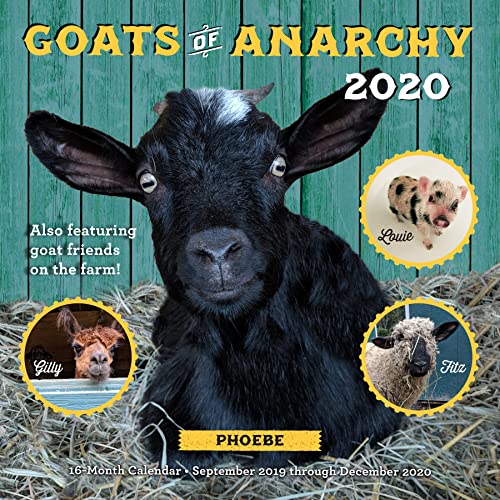 Stock image for Goats of Anarchy 2020: 16 Month Calendar September 2019 Through December 2020 for sale by Goodbookscafe