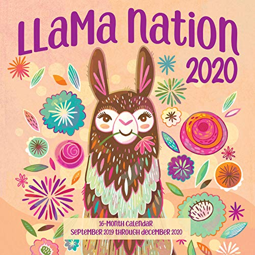 Imagen de archivo de Llama Nation 2020: 16 Month Calendar September 2019 Through December 2020 a la venta por Bellwetherbooks