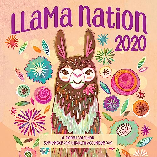 Stock image for Llama Nation 2020: 16 Month Calendar September 2019 Through December 2020 for sale by Bellwetherbooks