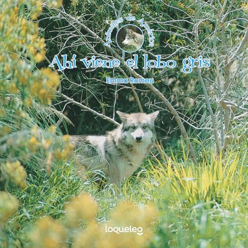 Stock image for Ahí viene el lobo gris / Here Comes the Gray Wolf (Spanish Edition) (Animales de America / Animals of the Americas) for sale by BooksRun