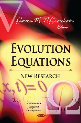 Imagen de archivo de Evolution Equations a la venta por PBShop.store US