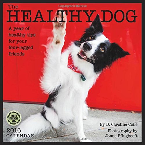 9781631360213: Healthy Dog 2016 Calendar: A year of healthy tips for your four-legged friends