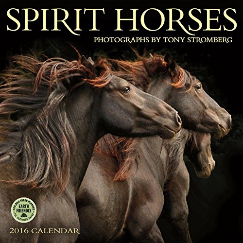 9781631360435: Spirit Horses 2016 Calendar