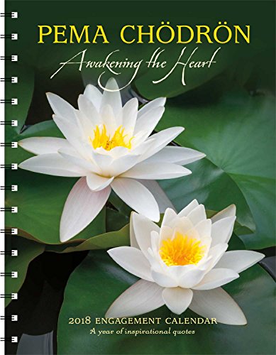 Stock image for Pema Chodron 2018 Engagement Datebook Calendar for sale by Buyback Express