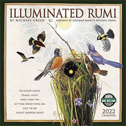 9781631367854 The Illuminated Rumi 2022 Wall Calendar AbeBooks