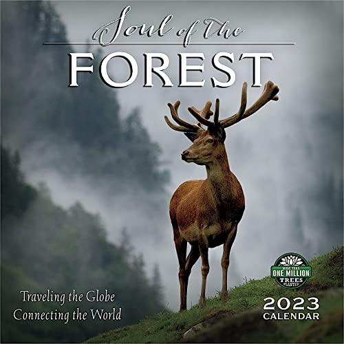 Stock image for The Soul of the Forest 2023 Wall Calendar: Traveling the Globe, Connecting the World | 12" x 24" Open | Amber Lotus Publishing for sale by Revaluation Books