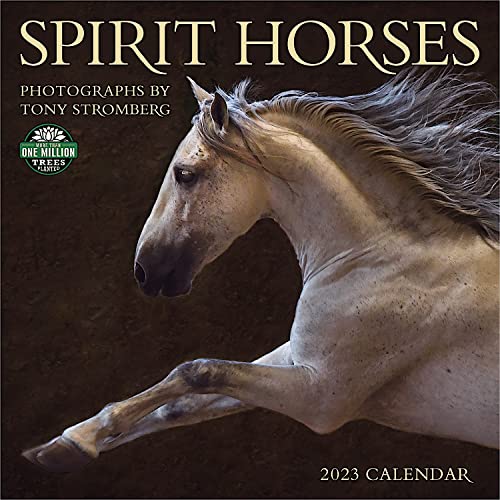 Stock image for Spirit Horses 2023 Wall Calendar for sale by GF Books, Inc.