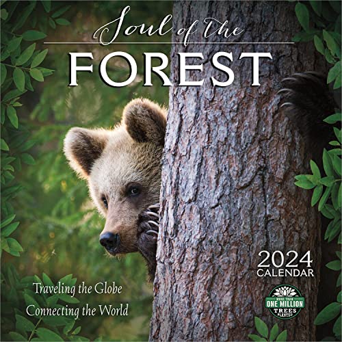 Stock image for The Soul of the Forest 2024 Wall Calendar: Traveling the Globe, Connecting the World | 12" x 24" Open | Amber Lotus Publishing for sale by GF Books, Inc.