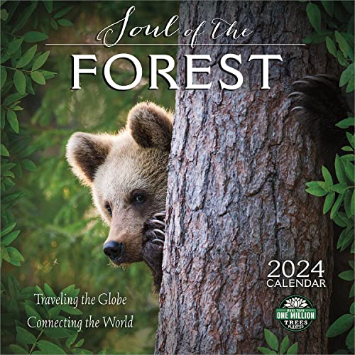 Soul of the Forest 2024 Calendar:...