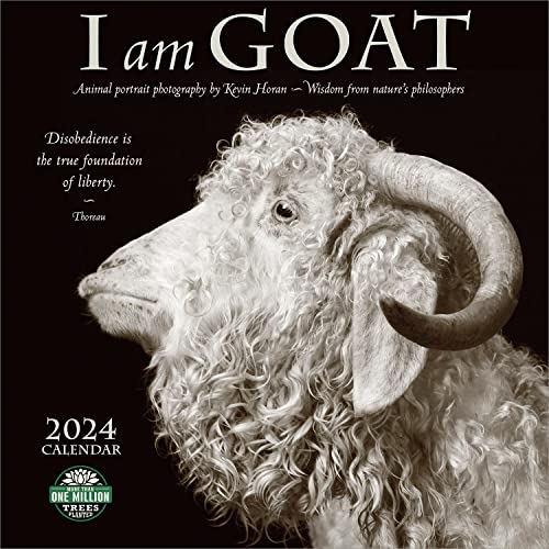 Stock image for I Am Goat 2024 Wall Calendar: Animal Portrait Photography by Kevin Horan and Wisdom From Nature's Philosophers | 12" x 24" Open | Amber Lotus Publishing for sale by HPB-Blue