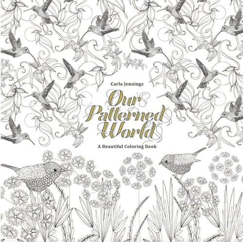Stock image for Our Patterned World: a Beautiful Coloring Book for sale by TextbookRush