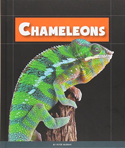 Beispielbild fr Chameleons zum Verkauf von Better World Books