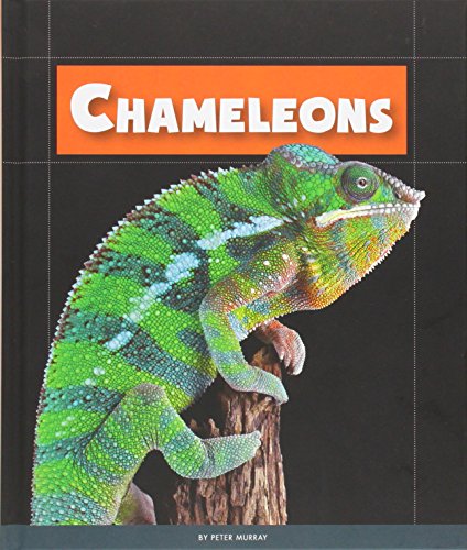9781631437038: Chameleons (Animals of the Rainforest)