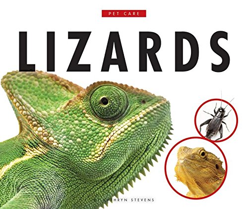 Imagen de archivo de Lizards a la venta por Better World Books