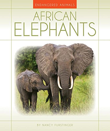 9781631439636: African Elephants (Endangered Animals)
