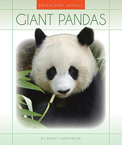 Imagen de archivo de Giant Pandas a la venta por Better World Books