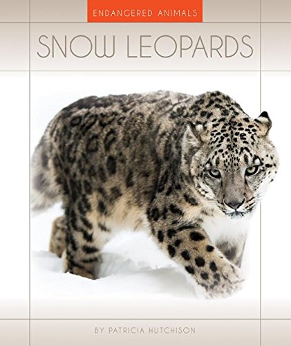 Beispielbild fr Snow Leopards zum Verkauf von Better World Books