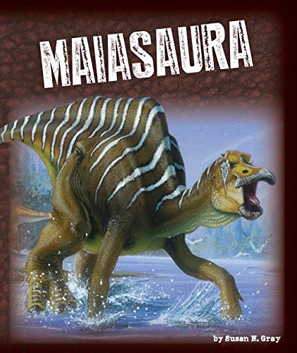 9781631439803: Maiasaura (Exploring Dinosaurs)