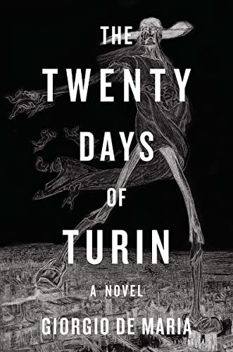 9781631492297: The Twenty Days of Turin: A Novel