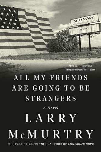 9781631493577: All My Friends Are Going to Be Strangers: A Novel