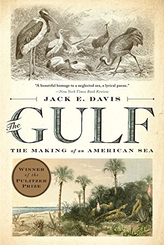 Imagen de archivo de The Gulf: The Making of An American Sea a la venta por Goodwill Books
