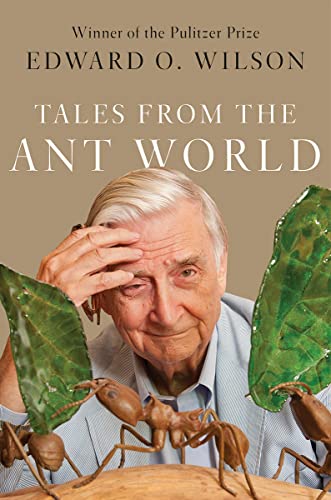Imagen de archivo de Tales from the Ant World a la venta por Armadillo Books