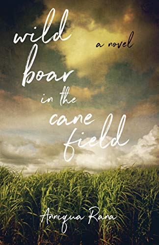 Beispielbild fr Wild Boar in the Cane Field: A Novel zum Verkauf von Wonder Book