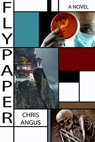 9781631580024: Flypaper: A Novel