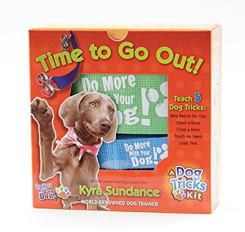 9781631590092: Time to Go Out, A Dog Tricks Kit: Engage, Challenge, and Bond with Your Dog