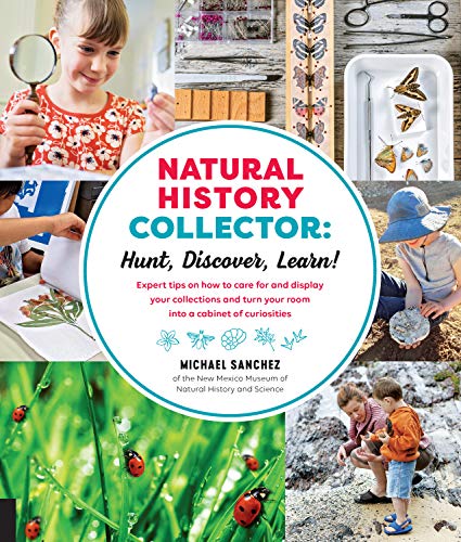 Beispielbild fr Natural History Collector: Hunt, Discover, Learn! : Expert Tips on How to Care for and Display Your Collections and Turn Your Room into a Cabinet of Curiosities zum Verkauf von Better World Books
